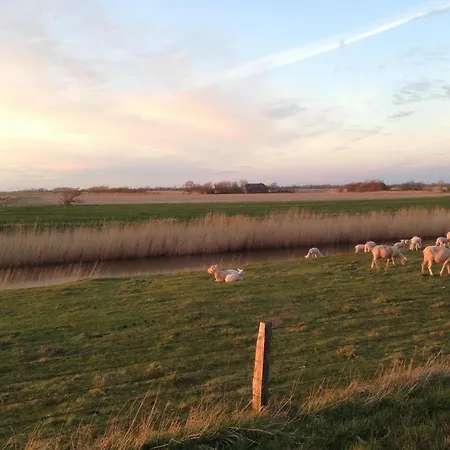 Reetdachhaus Inmitten Von Wiesen Und Feldern Emmelsbull-Horsbull